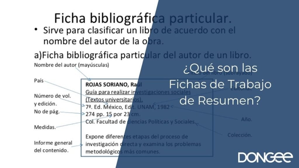 ¿Qué son las Fichas de Trabajo de Resumen?