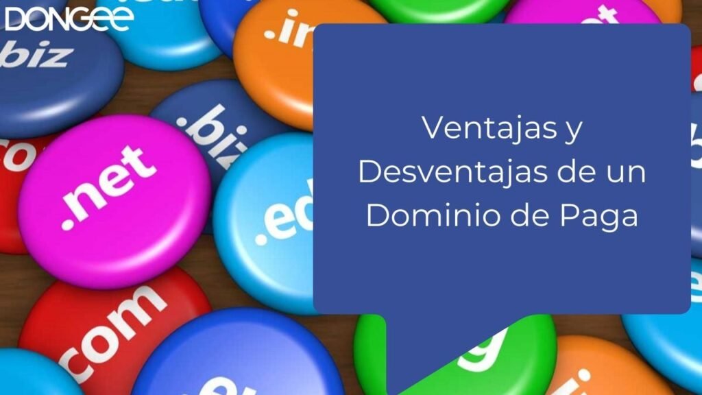Ventajas y Desventajas de un Dominio de Paga